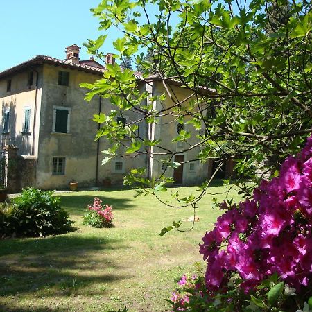 Bed & Breakfast Villa Masini-Luccetti Пьетразанта Экстерьер фото
